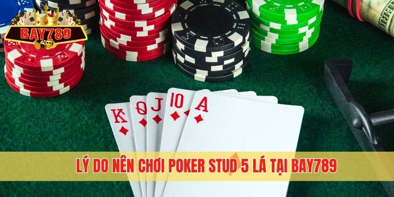 Lý do nên chơi Poker Stud 5 lá tại Bay789