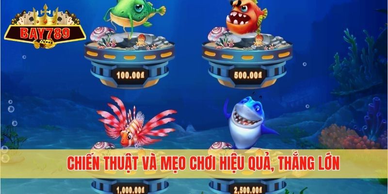 Chiến thuật và mẹo chơi hiệu quả, thắng lớn