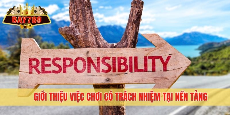 Giới thiệu việc chơi có trách nhiệm tại nền tảng