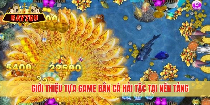 Giới thiệu tựa game bắn cá Hải Tặc tại nền tảng