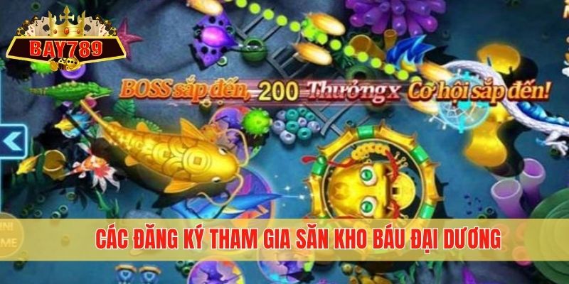 Các đăng ký tham gia săn kho báu Đại Dương